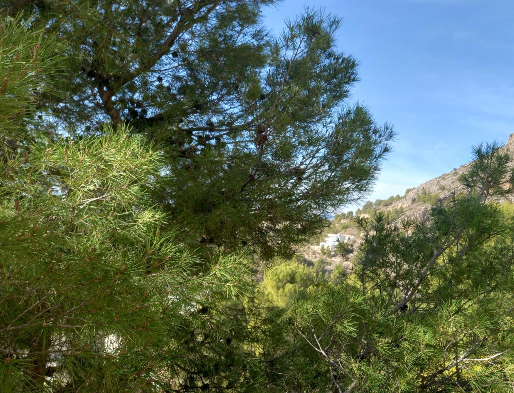 Townhouse Altea Hills Villa Kültér fotó